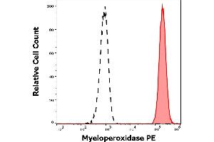 Separation of human neutrophil granulocytes (red-filled) from lymphocytes (black-dashed) in flow cytometry analysis (intracellular staining) of human peripheral whole blood stained using anti-human Myeloperoxidase (MPO421-8B2) PE antibody (10 μL reagent / 100 μL of peripheral whole blood).