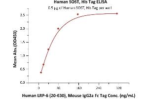 Immobilized Human SOST, His Tag (ABIN2181782,ABIN2181781) at 5 μg/mL (100 μL/well) can bind Human LRP-6 (20-630), Mouse IgG2a Fc Tag (ABIN6923175,ABIN6938849) with a linear range of 10-78 ng/mL (QC tested).