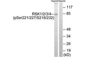 Western blot analysis of extracts from HepG2 cells treated with EGF 200ng/ml 30', using RSK1/2/3/4 (Phospho-Ser221/227/S218/232) Antibody. (RSK1/2/3/4 (AA 191-240), (pSer221) antibody)