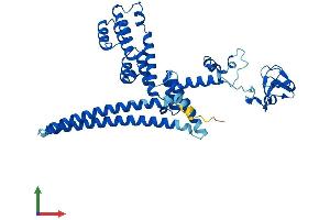 AlphaFold protein structure predicition of Mouse Recombinant Maea Protein, UniprotID Q4VC33