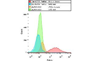 Flow cytometry analysis (surface staining) of human PHA-activated leukocytes with anti-human CD134 (Ber-ACT35) purified, GAM APC. (TNFRSF4 antibody)