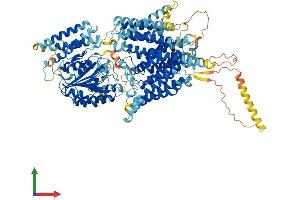 AlphaFold protein structure predicition of Human Recombinant PIGO Protein, UniprotID Q8TEQ8 (PIGO Protein (AA 1-1089) (His tag))