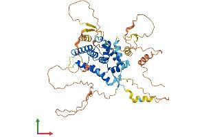 AlphaFold protein structure predicition of Human Recombinant NR0B1 Protein, UniprotID P51843