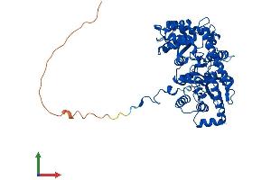 AlphaFold protein structure predicition of Human Recombinant GPT2 Protein, UniprotID Q8TD30 (GPT2 Protein (AA 1-523) (His tag))