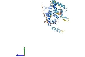 AlphaFold protein structure predicition of Mouse Recombinant Tmem115 Protein, UniprotID Q9WUH1