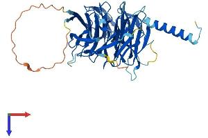 PREB Protein (AA 1-417) (His tag)