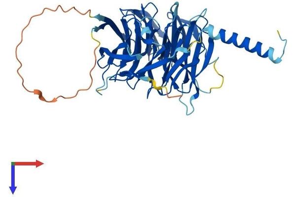 PREB Protein (AA 1-417) (His tag)