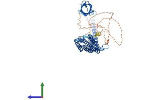 Protein Structure (PS) image for Protein Kinase C and Casein Kinase Substrate in Neurons 2 (PACSIN2) (AA 1-486) protein (His tag) (ABIN7565239)