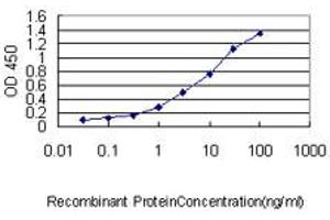 Detection limit for recombinant GST tagged DNAJC7 is approximately 0. (DNAJC7 antibody  (AA 1-484))