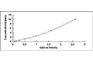 NR3C2 ELISA Kit