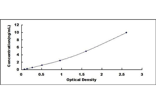 NR3C2 ELISA Kit