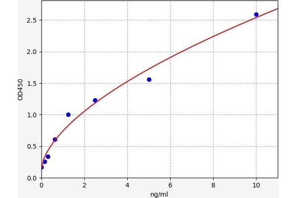 Enkephalin ELISA Kit