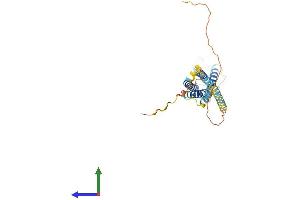 AlphaFold protein structure predicition of Mouse Recombinant Ms4a1 Protein, UniprotID P19437 (CD20 Protein (AA 1-291) (His tag))