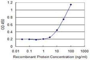 Detection limit for recombinant GST tagged COLEC10 is 1 ng/ml as a capture antibody. (COLEC10 antibody  (AA 121-229))
