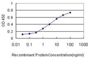 Detection limit for recombinant GST tagged SAE1 is approximately 0. (SAE1 antibody  (AA 1-346))