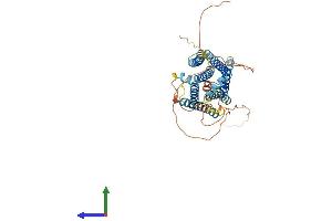 AlphaFold protein structure predicition of Human Recombinant GPR137C Protein, UniprotID Q8N3F9 (GPR137C Protein (AA 1-429) (His tag))