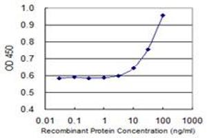 Detection limit for recombinant GST tagged CEACAM1 is 3 ng/ml as a capture antibody. (CEACAM1 antibody  (AA 1-468))