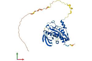 AlphaFold protein structure predicition of Human Recombinant PTPN7 Protein, UniprotID P35236