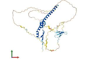 Protein Structure (PS) image for WW Domain Binding Protein 4 (WBP4) (AA 1-376) protein (His tag) (ABIN7545125)