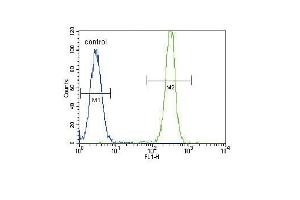 SD2 Antibody (ABIN391545 and ABIN2841494) flow cytometric analysis of Hela cells (right histogram) compared to a negative control cell (left histogram). (SMAD2 antibody  (AA 97-125))