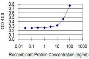 Detection limit for recombinant GST tagged EPHA1 is 1 ng/ml as a capture antibody. (EPHA1 antibody  (AA 394-500))