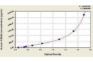 Typical standard curve (NR4A2 ELISA Kit)