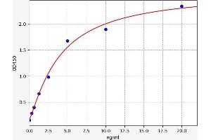 MAT1A ELISA Kit