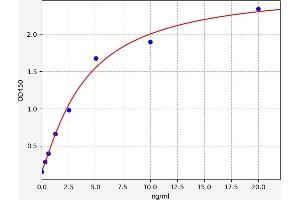 Typical standard curve (MAT1A ELISA Kit)