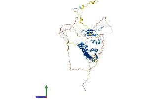 AlphaFold protein structure predicition of Human Recombinant E2F2 Protein, UniprotID Q14209