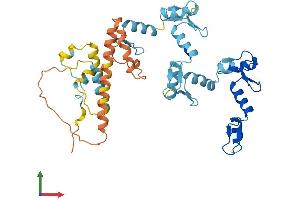 AlphaFold protein structure predicition of Human Recombinant ZNF684 Protein, UniprotID Q5T5D7