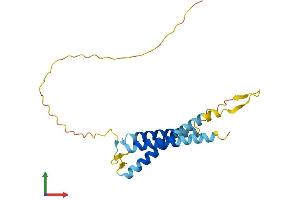 AlphaFold protein structure predicition of Mouse Recombinant Slc31a1 Protein, UniprotID Q8K211