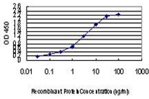 Detection limit for recombinant GST tagged CDK8 is approximately 0. (CDK8 antibody  (AA 375-464))
