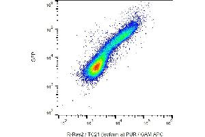 Flow cytometry analysis (intracellular staining) of R-Ras2/TC21 in HEK-293 R-Ras2-GFP transfectants using monoclonal antibody EM-50, purified / GAM-APC. (RRAS2 antibody)