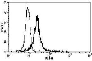 A typical staining pattern with the B-A35 monoclonal antibody of monocytes (Thrombomodulin antibody)