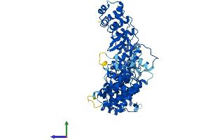 AlphaFold protein structure predicition of Mouse Recombinant Fem1c Protein, UniprotID Q8CEF1