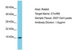 Image no. 1 for anti-Chromosome 7 Open Reading Frame 69 (C7ORF69) (AA 63-112) antibody (ABIN6750687) (C7ORF69 antibody  (AA 63-112))