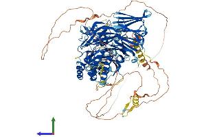 AlphaFold protein structure predicition of Mouse Recombinant Hira Protein, UniprotID Q61666 (HIRA Protein (AA 1-1015) (His tag))