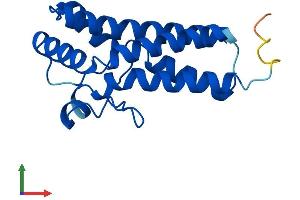 AlphaFold protein structure predicition of Mouse Recombinant Spaca9 Protein, UniprotID Q7TPM5 (Spaca9 (AA 1-168) protein (His tag))