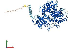 Protein Structure (PS) image for Cytochrome P450, Family 7, Subfamily B, Polypeptide 1 (CYP7B1) (AA 1-506) protein (His tag) (ABIN7546659)