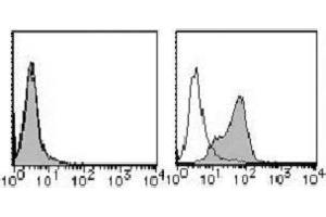 Flow Cytometry (FACS) image for anti-Poliovirus Receptor (PVR) antibody (PE) (ABIN1105910) (Poliovirus Receptor antibody  (PE))