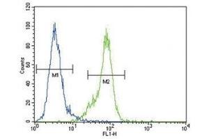 Dnmt1 antibody flow cytometric analysis of MDA-MB435 cells (right histogram) compared to a negative control (left histogram). (DNMT1 antibody  (AA 1588-1616))
