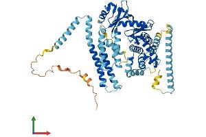 Protein Structure (PS) image for AarF Domain Containing Kinase 5 (ADCK5) (AA 1-580) protein (His tag) (ABIN7551907)
