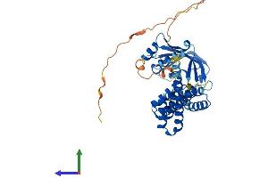 Protein Structure (PS) image for Aryl Hydrocarbon Receptor Interacting Protein-Like 1 (AIPL1) (AA 1-384) protein (His tag) (ABIN7552075)