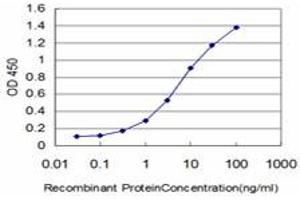 Detection limit for recombinant GST tagged DDX54 is approximately 0. (DDX54 antibody  (AA 778-881))