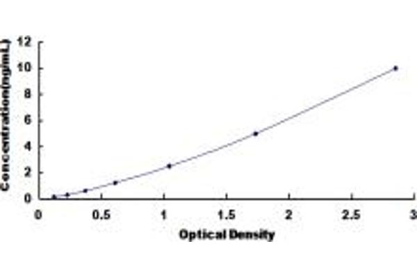 MTAP ELISA Kit