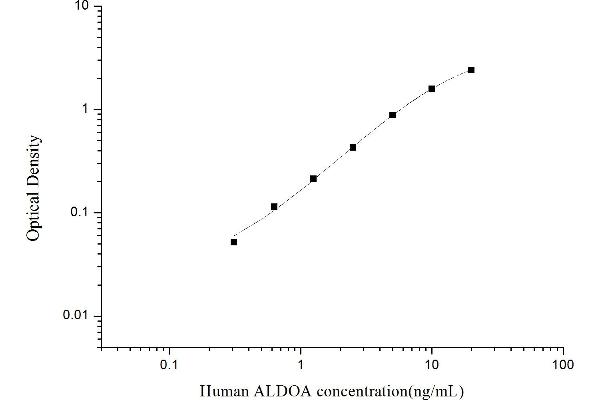 ALDOA ELISA Kit