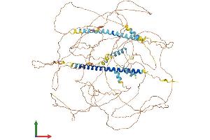 AlphaFold protein structure predicition of Mouse Recombinant Maml1 Protein, UniprotID Q6T264