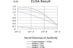 Black line: Control Antigen (100 ng),Purple line: Antigen (10 ng), Blue line: Antigen (50 ng), Red line:Antigen (100 ng) (EPAS1 antibody  (AA 680-870))