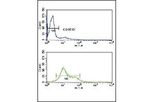 MDH1 Antibody (C-term) (ABIN389447 and ABIN2839517) flow cytometry analysis of HL-60 cells (bottom histogram) compared to a negative control cell (top histogram). (MDH1 antibody  (C-Term))