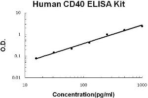 Human CD40/TNFRSF5 PicoKine ELISA Kit standard curve (CD40 ELISA Kit)